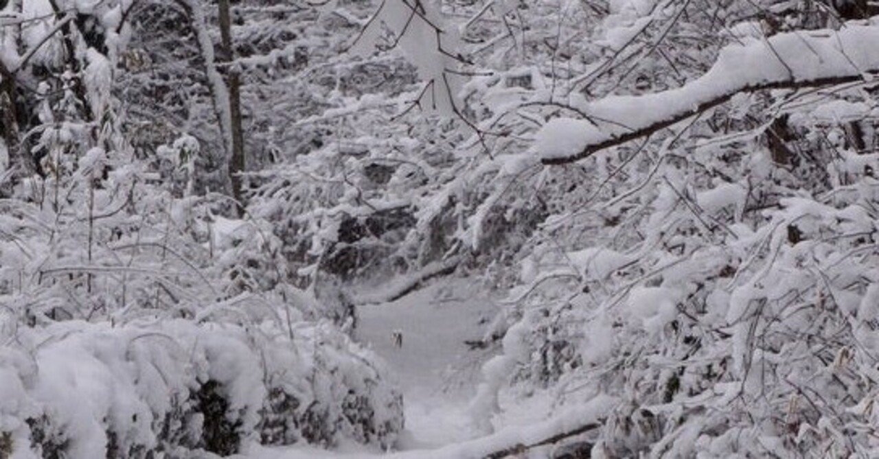 Wii U Year Walk 最後の啓示 感想 Ura Note Wii U Year Walk 最後の啓示 感想 Ura Note