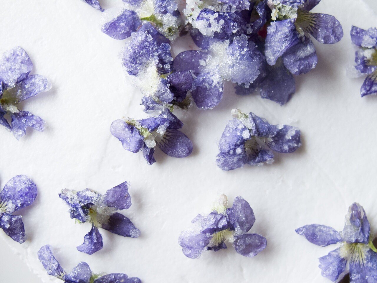 人気沸騰ブラドン 皇妃エリザベートが愛したお菓子 人気 スイーツ お菓子 デメル スミレの砂糖漬け 38g Boxタイプ Demel Demel 贈答品 パーティー イベント 喜ばれる 御祝 お祝い プレゼント お鍋 22 Idvn Com Vn