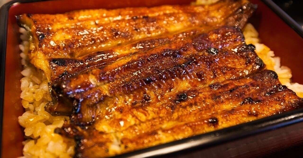 見るものだけは贅沢三昧 ドクトルノンキーの曾孫 Note
