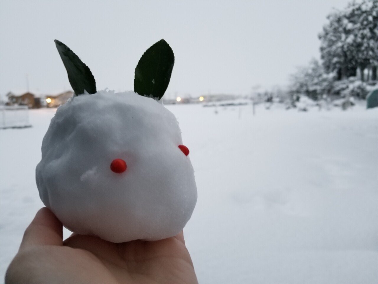 雪うさぎ 1ea15ff58079d83905a2a25be3a325