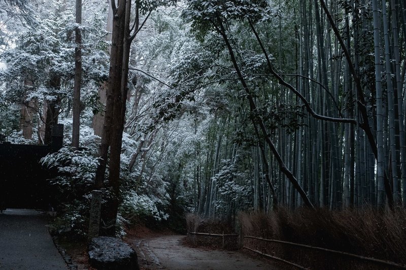 嵐山の雪化粧-1190