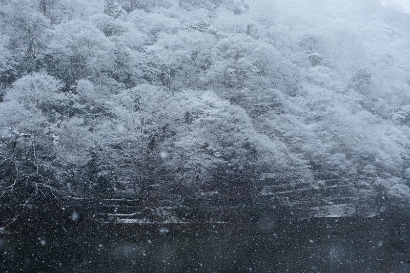 嵐山の雪化粧-1208
