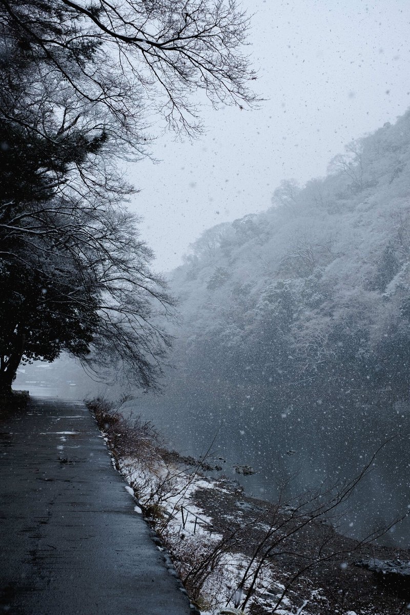 嵐山の雪化粧-1209