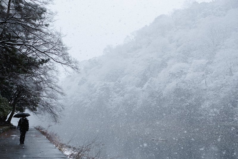 嵐山の雪化粧-1221