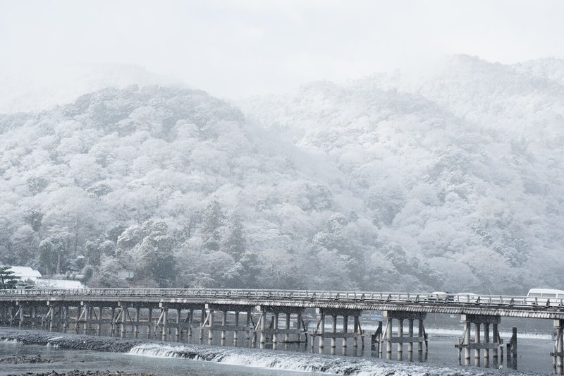 嵐山の雪化粧-1251