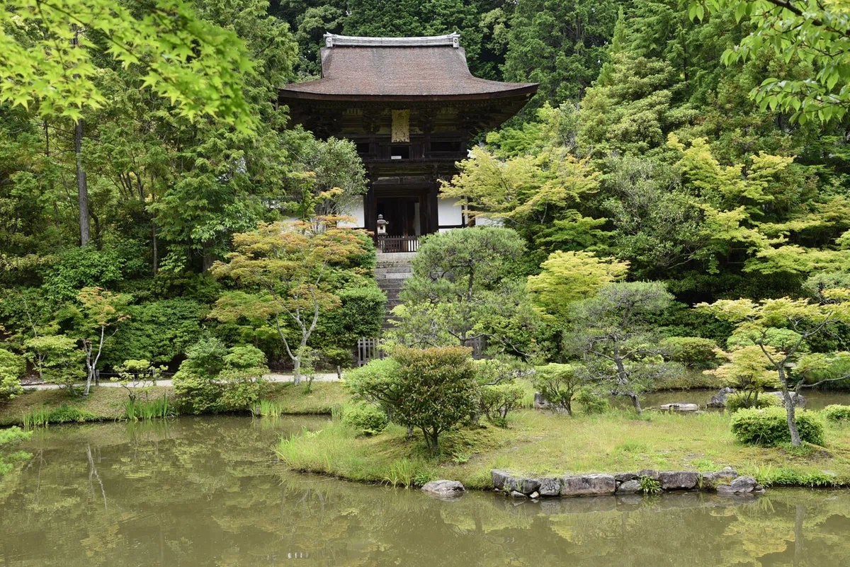 画像66