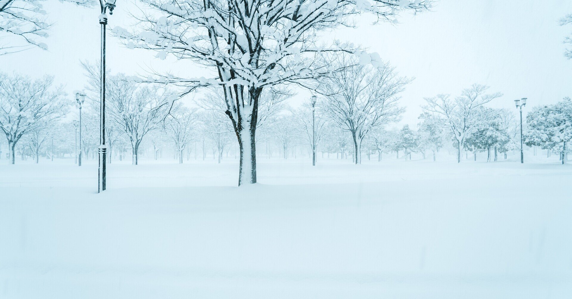 白銀の世界 Hirokiphoto Note 白銀の世界 Hirokiphoto Note