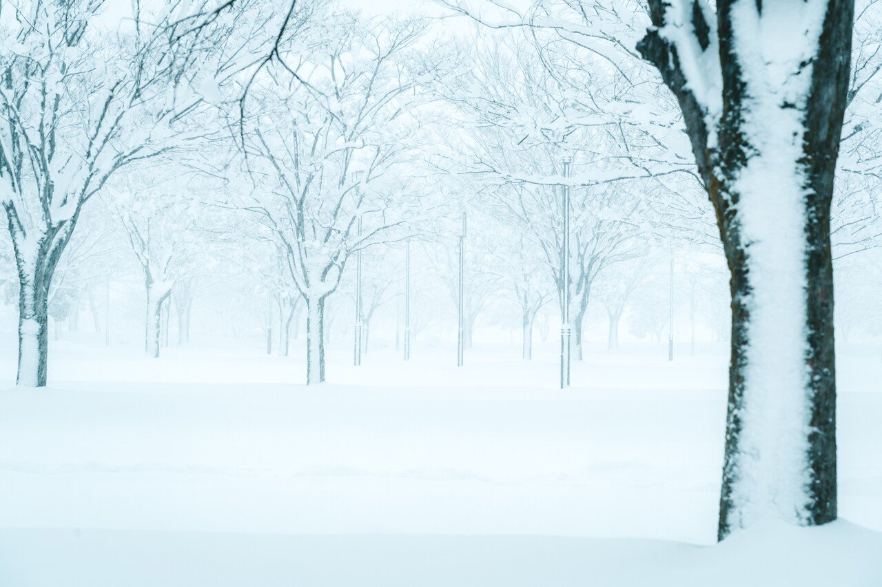 白銀の世界 Hirokiphoto Note 白銀の世界 Hirokiphoto Note