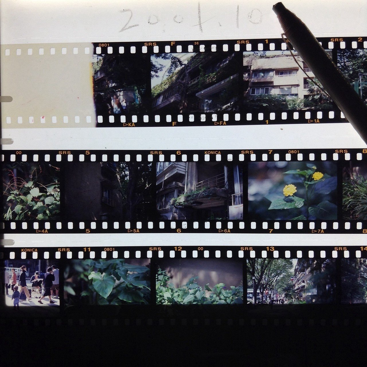 カメラフィル ポジ と ネガ ポジフィルムはそのままフィルムをカラーで見ることが出来ます Wabisabijapan ソフトクリームが溶けてしまわぬうちに Note