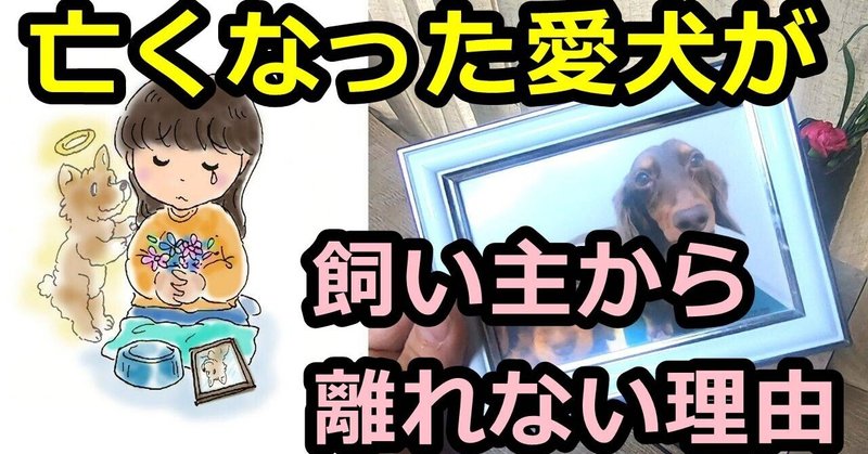 ペットロス 亡くなった愛犬が飼い主から離れない理由 犬の死後 ワンちゃん 時雨 Note