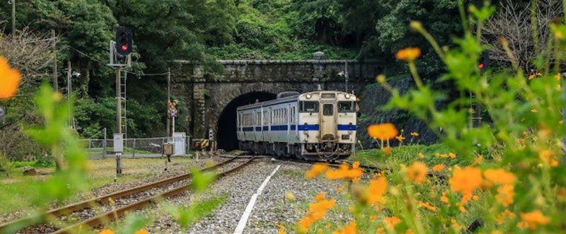 採銅所駅の黄花コスモス