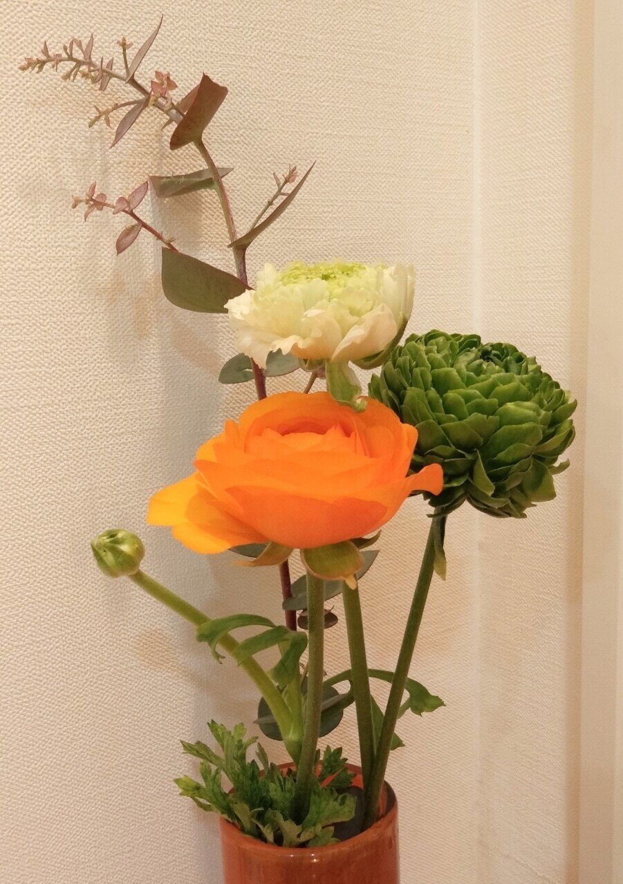 蕾が花開く おとや Note