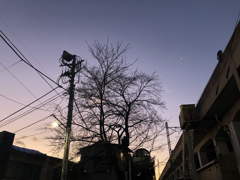 逃げるは恥だが役に立つ の感想 Hikari Takinami Note 逃げるは恥だが役に立つ の感想 Hikari Takinami Note