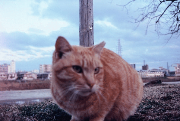 みなさん さようなら あき Note