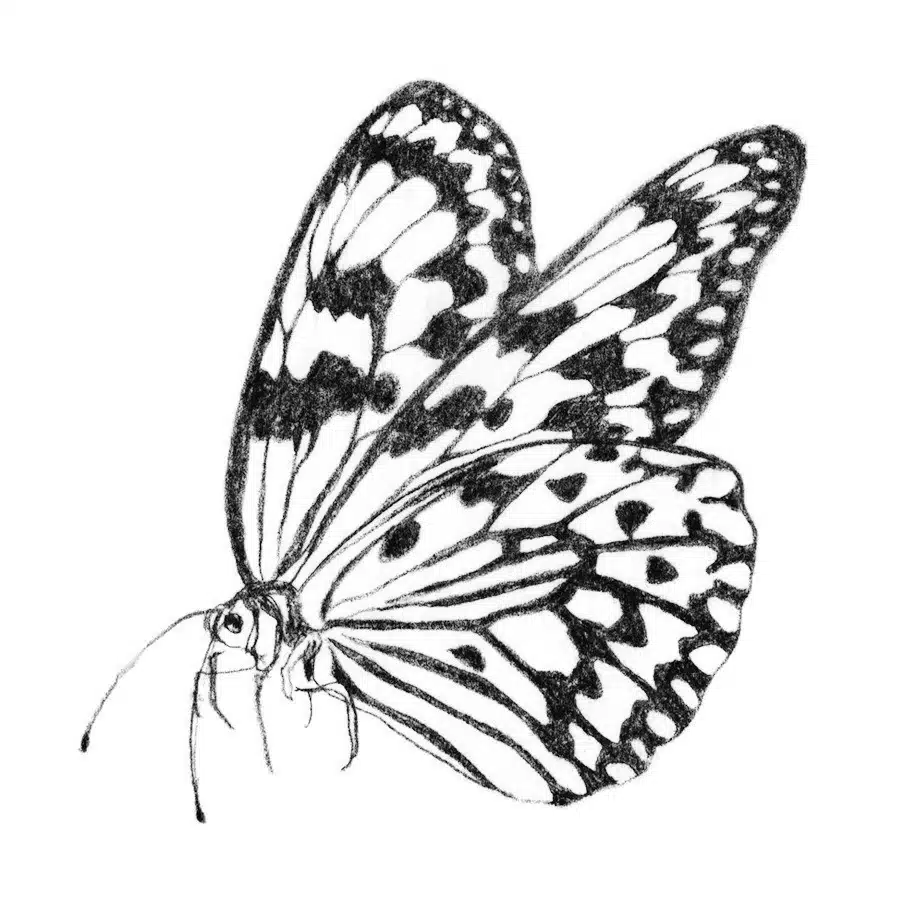 UTAKATA
