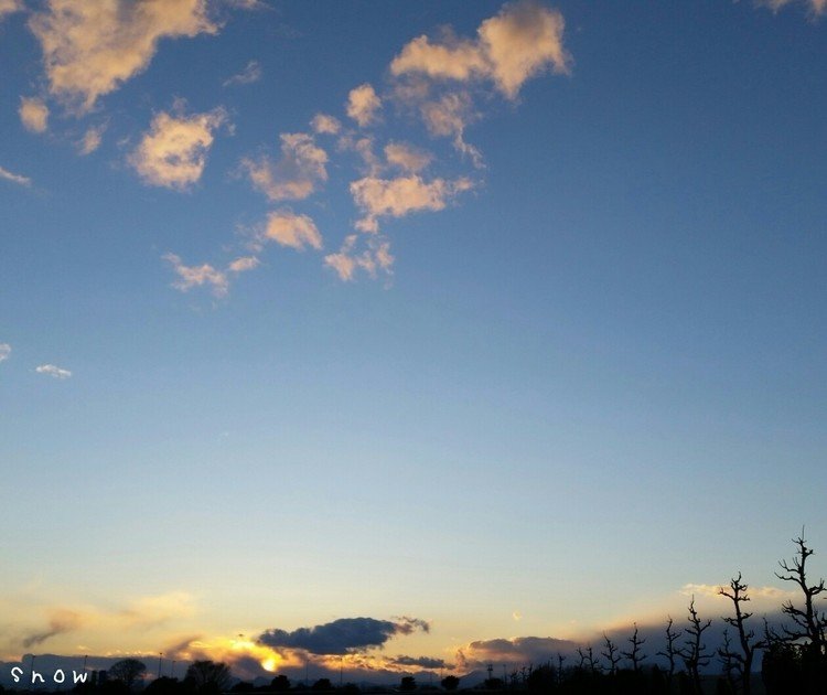 夕暮れ

昨日見た　夕暮れの空は　どこか温かくて　何処までもオレンジにつつまれていた。

その時を写真には　のこせなかったけれど
忘れられない夕暮れになりそうです。