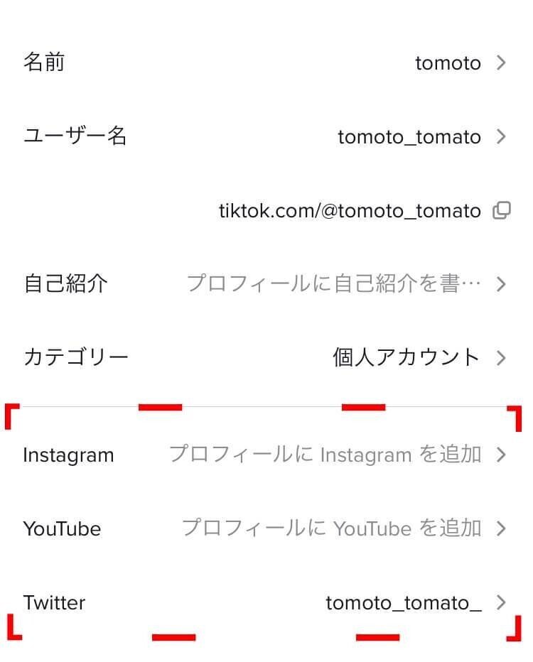 TikTokとは　連携