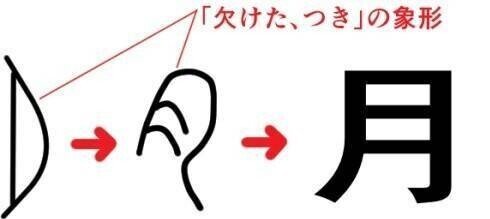 体の部位を表す漢字には なぜ 月 がつくのだろうか 生理と月の関係について考えてみました 青春エイリアンズ商店39番地 開店準備中 Note
