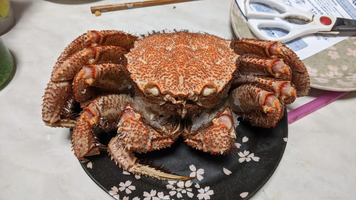 画像736