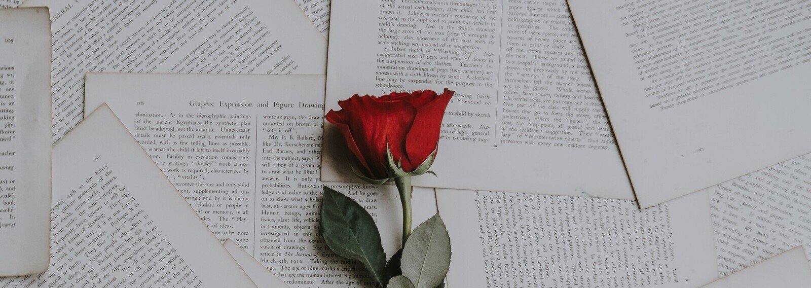 少女革命ウテナ論 仲川 蛍 Note