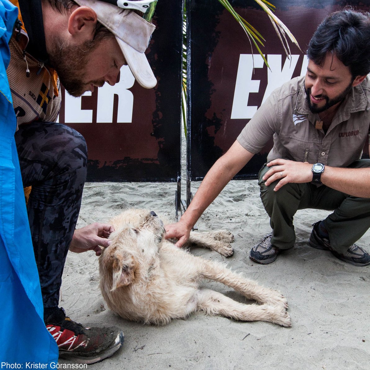 ここでお別れだ 野良犬がジャングルのレースで飼い主に出会った感動の実話 ジャングルの極限レースを走った犬 アーサー 4 発売 特集2 Hayakawa Books Magazines B