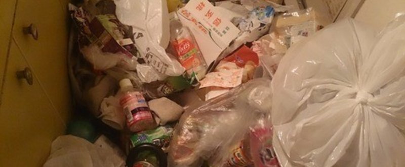クレイジーjapan あのとき 自分の生活からずっと目を逸らしていました 元汚部屋ブロガーややこさん 前編 灯台もと暮らし Note クレイジーjapan あのとき 自分の生活からずっと目を逸らしていました 元汚部屋ブロガーややこさん 前編 灯台もと暮らし Note