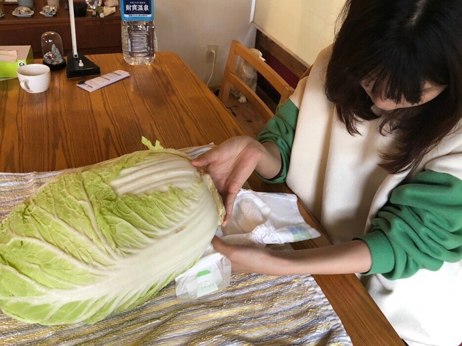白菜を赤ちゃんとして愛でる ほしあさひ Note