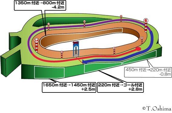 中山芝2000ｍ