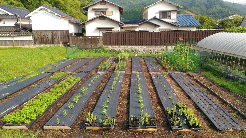 管理が楽になるハーブガーデンの作り方 Monkey Gardener 世界の農家と農法 Note 管理が楽になるハーブガーデンの作り方 Monkey Gardener 世界の農家と農法 Note