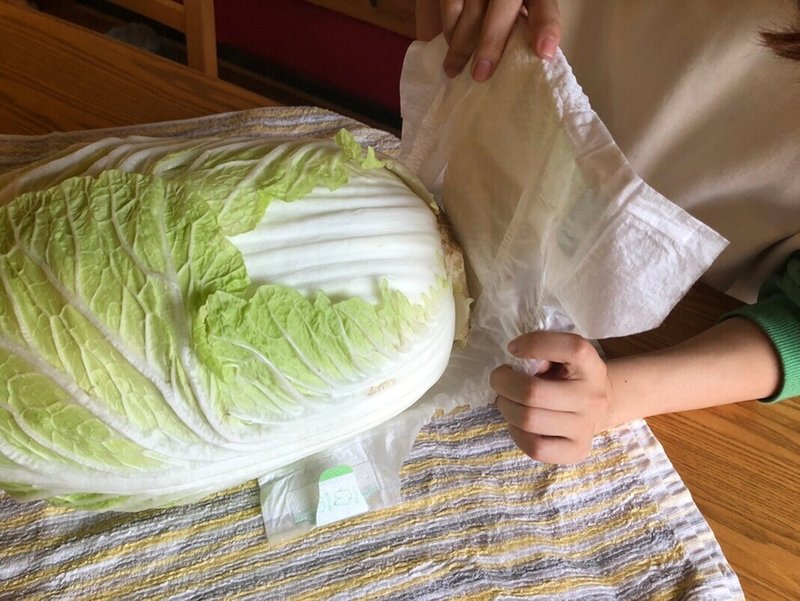 白菜を赤ちゃんとして愛でる ほしあさひ Note 白菜を赤ちゃんとして愛でる ほしあさひ Note