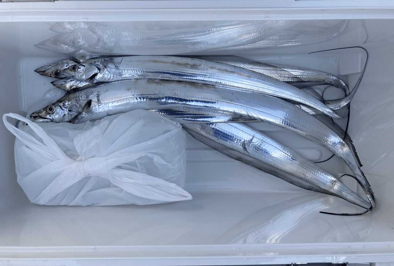 釣行日記 タチウオテンヤ 兵庫県西宮市 釣人家 我長州人 時々狩人 極稀釣人ちょーす Nido Note 釣行日記 タチウオテンヤ 兵庫県西宮市 釣人家 我長州人 時々狩人 極稀釣人ちょーす Nido Note