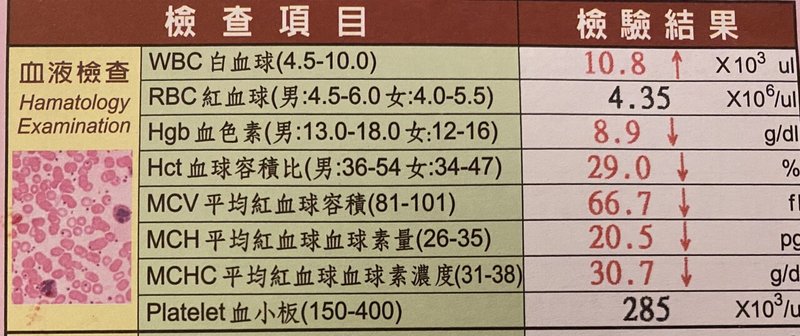 台湾出産記 妊婦健診で血液検査したら地中海貧血と診断が ぷけこの台湾ライフ