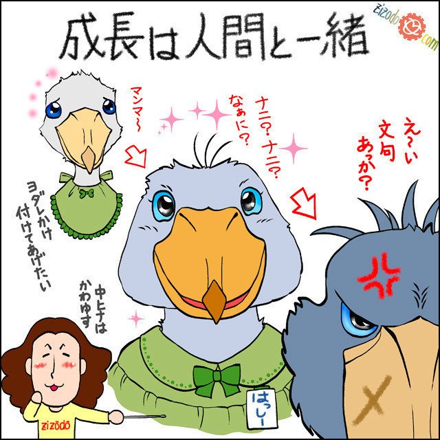 成長過程 Zizodo Note 成長過程 Zizodo Note