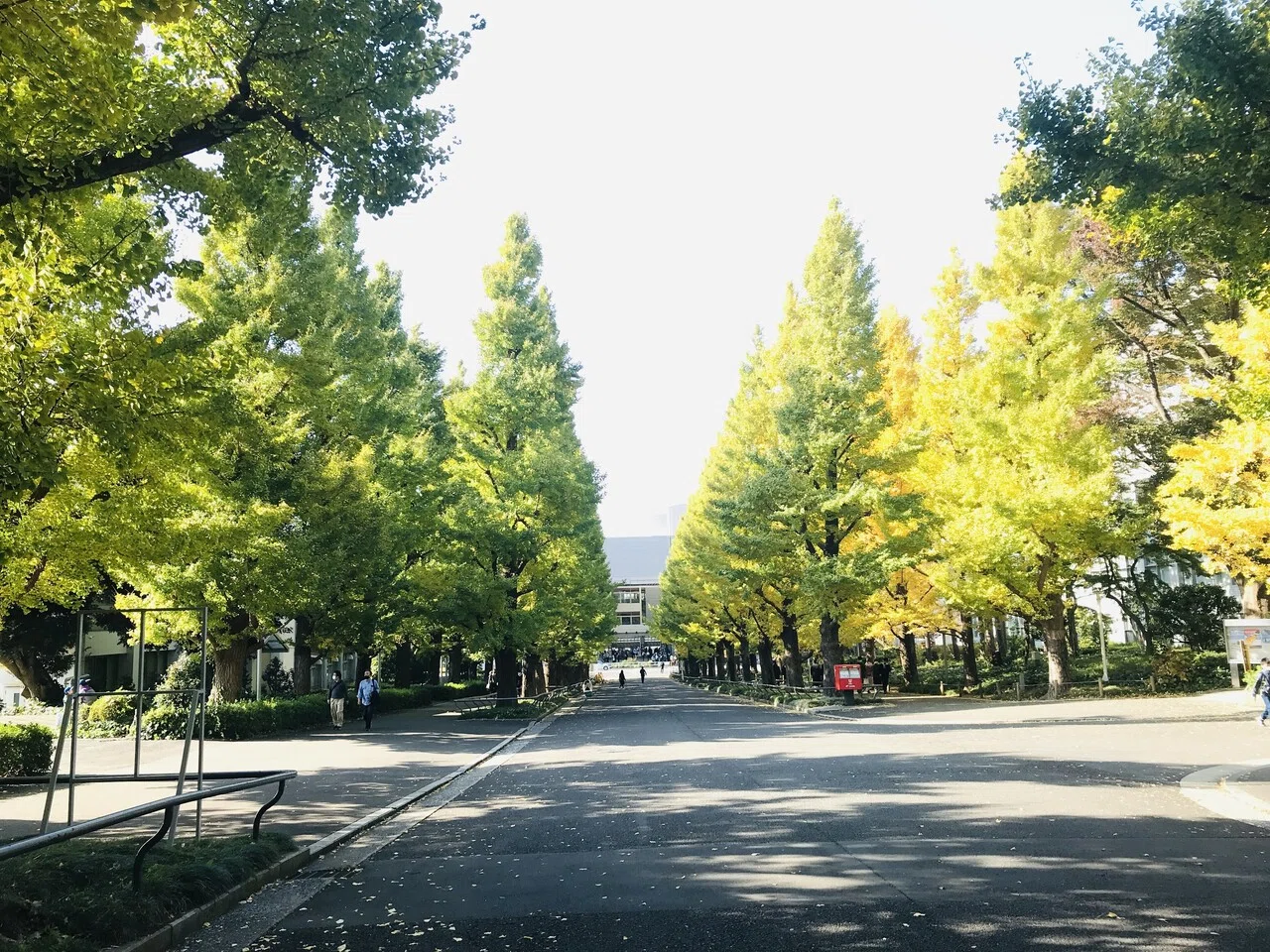 女将業27年、いまさらですが！調理師免許をとっちゃいました③調理師
