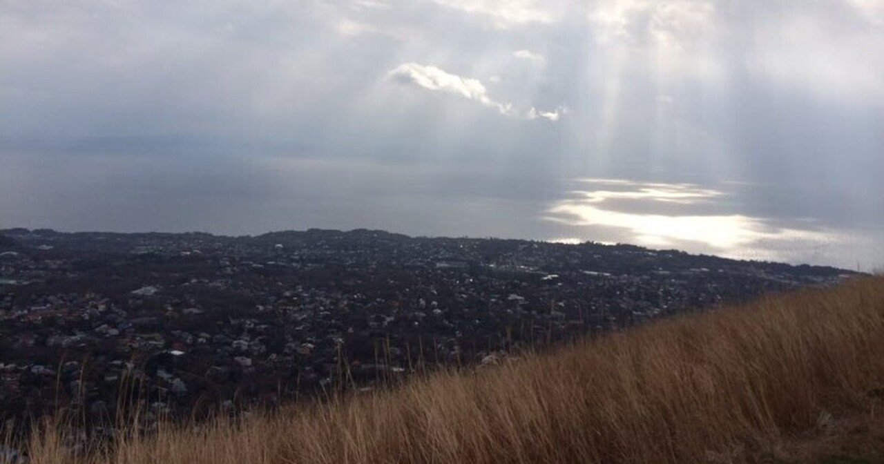 静かに暮らしたいが叶わない世の中になってきた うえぽん カスタマーサクセス クリエイティブ Note 静かに暮らしたいが叶わない世の中になってきた うえぽん カスタマーサクセス クリエイティブ Note