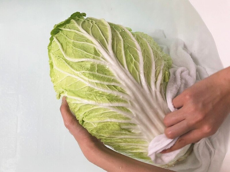 白菜を赤ちゃんとして愛でる ほしあさひ Note 白菜を赤ちゃんとして愛でる ほしあさひ Note