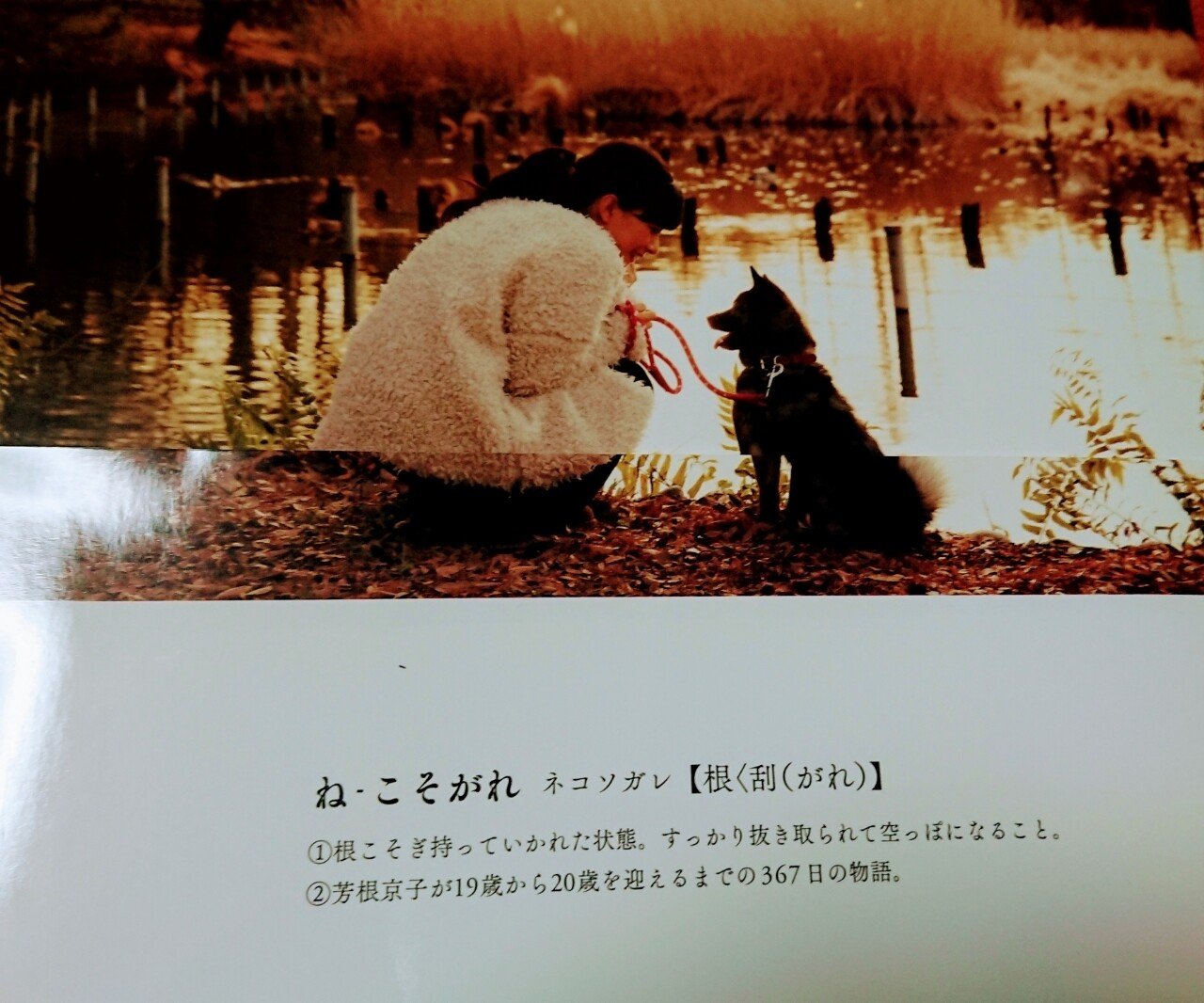 万生集 生きる目的 意味 コツ 217 Manseishu Collection Of Purpose Meaning Of Life 知産知消 Note 万生集 生きる目的 意味 コツ 217 Manseishu Collection Of Purpose Meaning Of Life 知産知消 Note