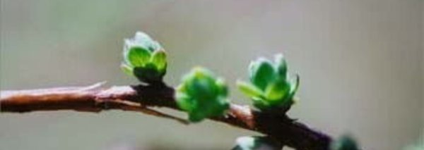 値下げ! ◎もれなく相談付//これがあなたの生きる道2021