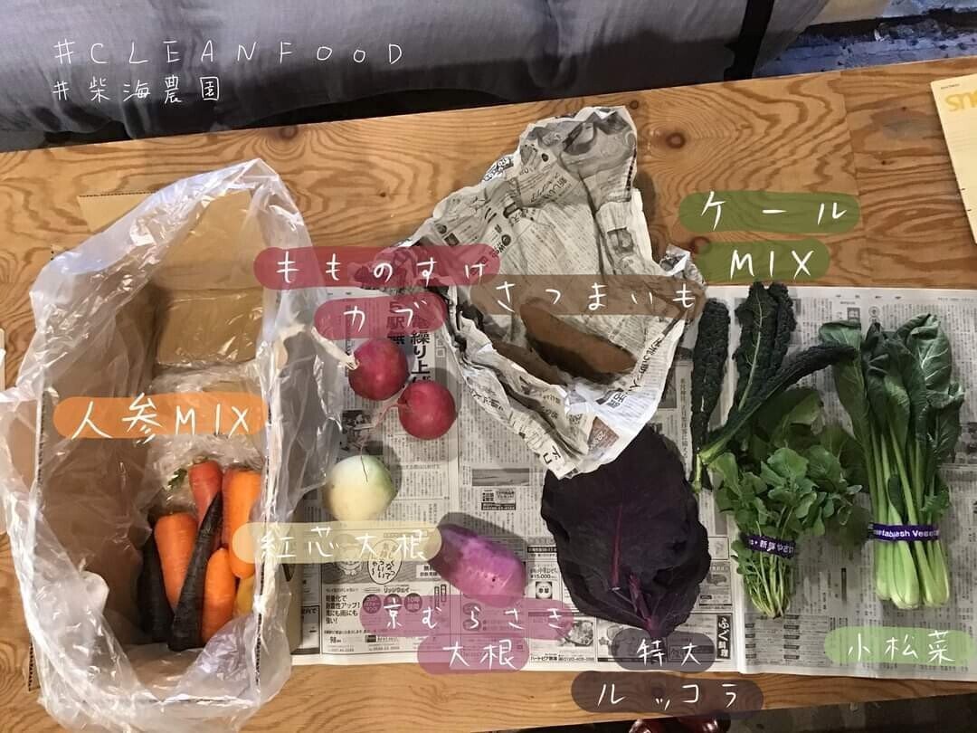 生活術 野菜のセット買い というライフハック 角田尭史 Takashi Sumida Note