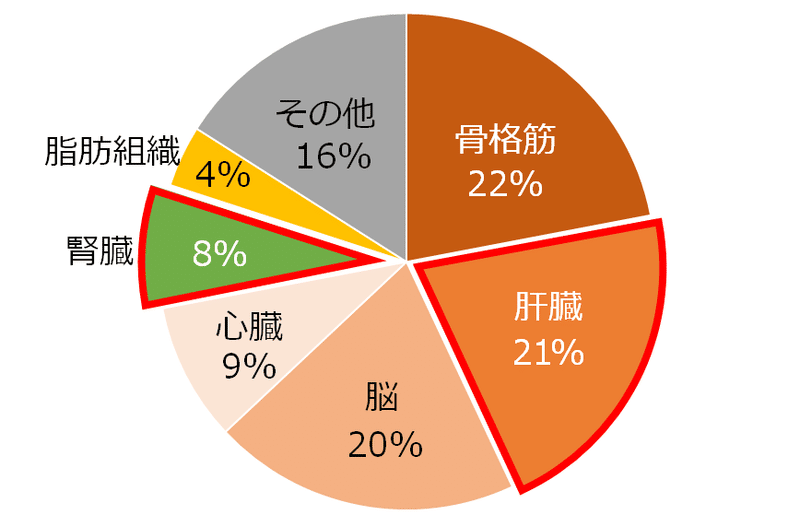 代謝の基本 筋トレじゃない 基礎代謝を上げる効果的な方法 おかな コーチング管理栄養士 Note 代謝の基本 筋トレじゃない 基礎代謝を上げる効果的な方法 おかな コーチング管理栄養士 Note