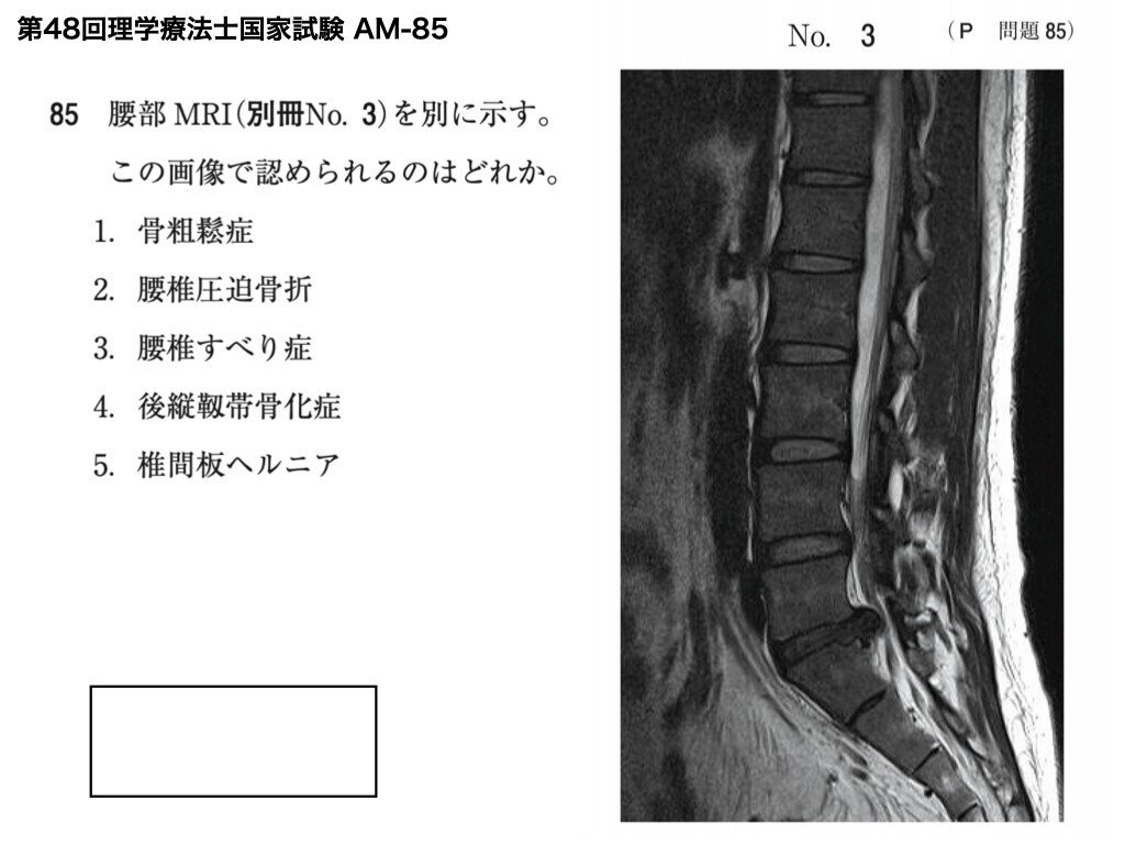 画像13