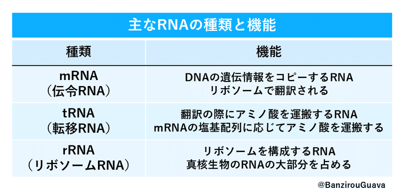 画像11