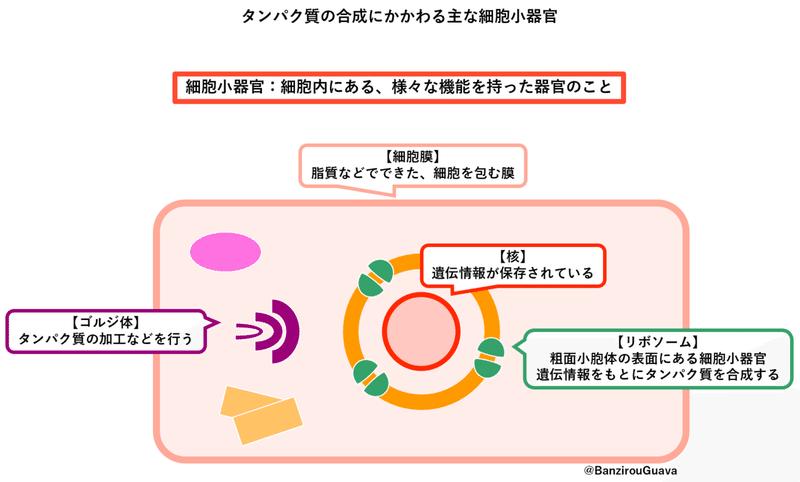 画像11