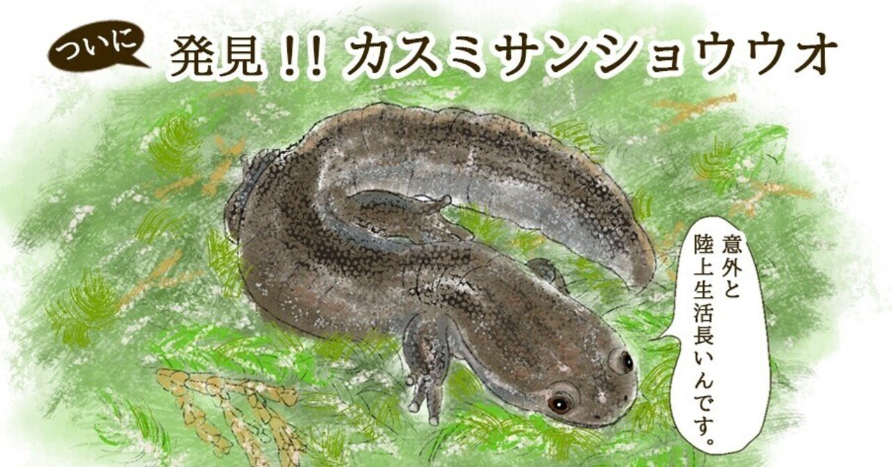 奈良では絶滅寸前種のサンショウウオ Uran Orico Note