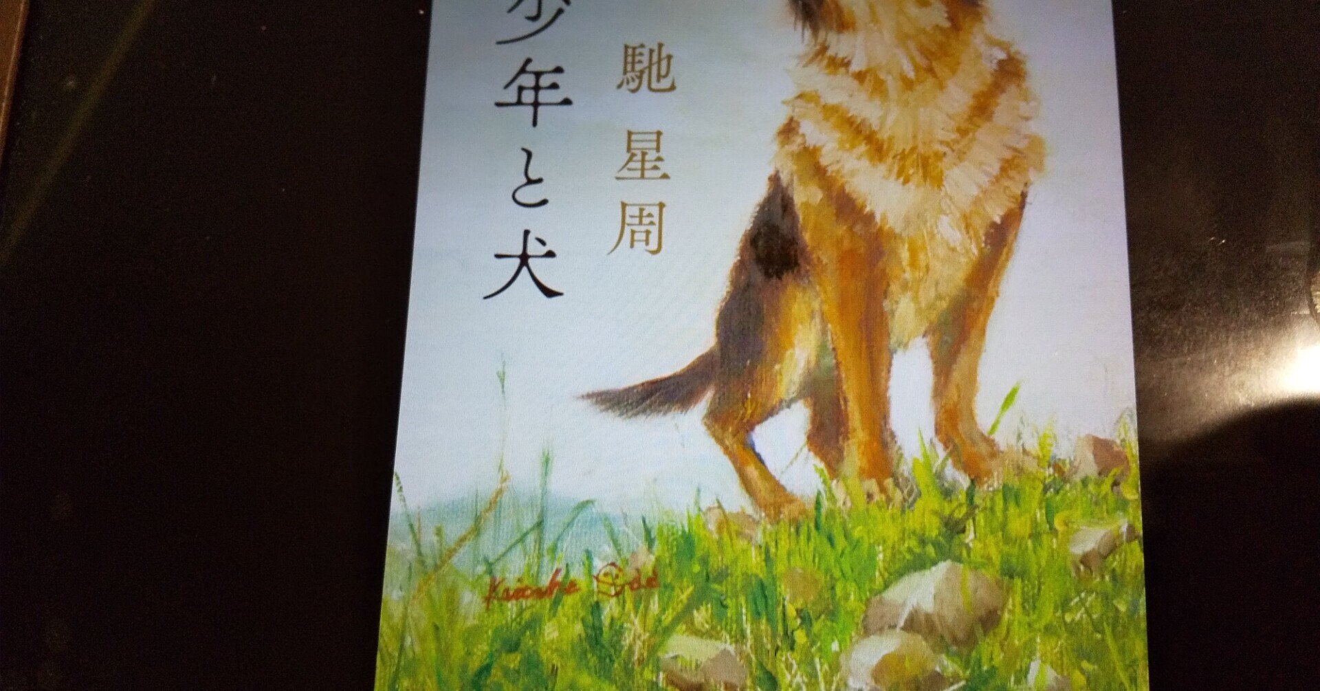 少年と犬 馳 星周 俺のくるみそば Note 少年と犬 馳 星周 俺のくるみそば Note