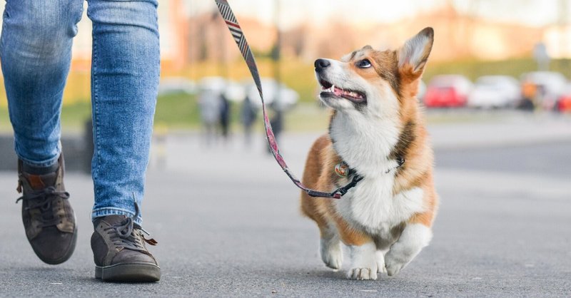 歩様 の新着タグ記事一覧 Note つくる つながる とどける