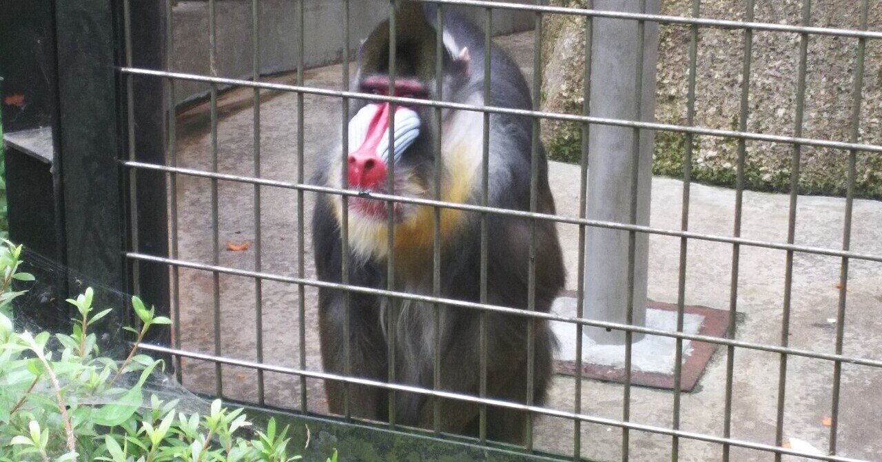 動物園行こう 千葉市動物公園編 Kakusan Note
