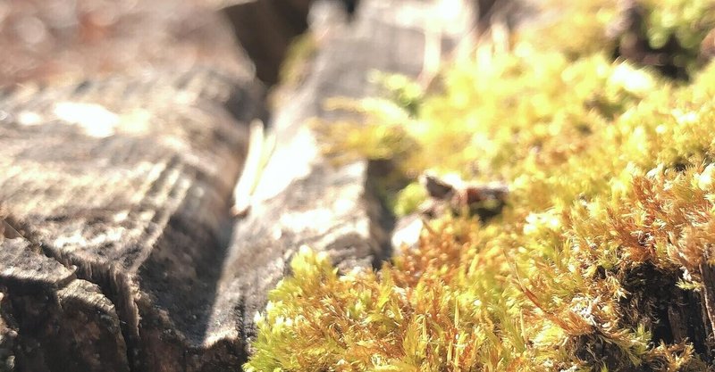 無力を感じられなくなっている事 森祐美子 Note