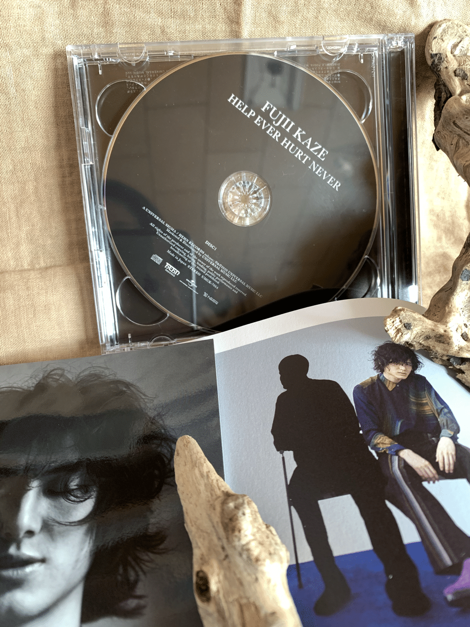 FUJII KAZE☆HELP EVER HURT NEVER｜真純