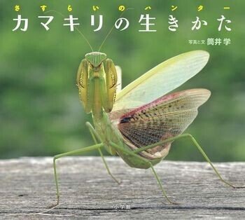 息子のリアル読み聞かせチャレンジ 長田莉々 Osada Riri Note 息子のリアル読み聞かせチャレンジ 長田莉々 Osada Riri Note